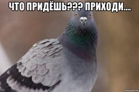 что придёшь??? приходи.... 