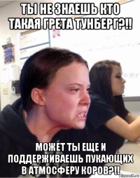 ты не знаешь кто такая грета тунберг?!! может ты еще и поддерживаешь пукающих в атмосферу коров?!!