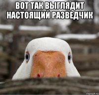 вот так выглядит настоящий разведчик 