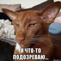  я что-то подозреваю...