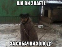 шо ви знаете за собачий холод?