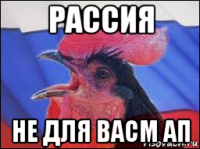 рассия не для васм ап
