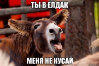 ты в елдак меня не кусай
