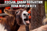 лэська, давай попыхтим пока мурега нету 