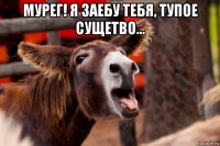 мурег! я заебу тебя, тупое сущетво... 