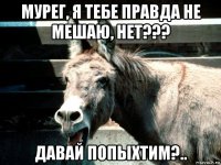 мурег, я тебе правда не мешаю, нет??? давай попыхтим?..