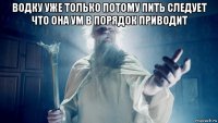 водку уже только потому пить следует что она ум в порядок приводит 