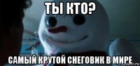 ты кто? самый крутой снеговик в мире