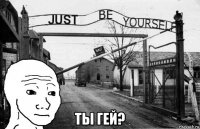  ты гей?
