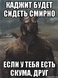каджит будет сидеть смирно если у тебя есть скума, друг
