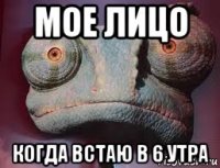 мое лицо когда встаю в 6 утра