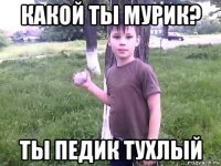 какой ты мурик? ты педик тухлый