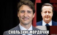  скользкие мордочки