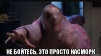  не бойтесь, это просто насморк