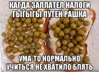 кагда заплател налоги гыгыгы путен рашка ума-то нормально учиться не хватило блять