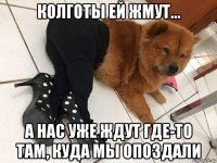 колготы ей жмут... а нас уже ждут где-то там, куда мы опоздали