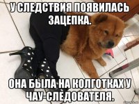 у следствия появилась зацепка. она была на колготках у чау-следователя.
