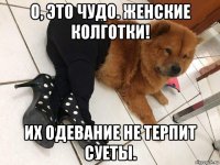 о, это чудо. женские колготки! их одевание не терпит суеты.