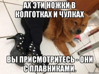 ах эти ножки в колготках и чулках вы присмотритесь - они с плавниками.