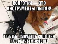 колготки — это инструменты пыток! требуем запретить колготки на собачьем уровне!