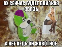 ох сейчас будет близкая связь а нет ведь он животное