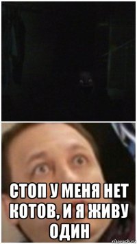  стоп у меня нет котов, и я живу один