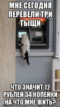 мне сегодня перевели три тыщи что значит 12 рублей 34 копейки на что мне жить?