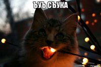 ъуъ съука 