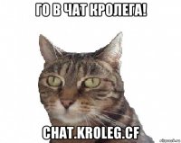 го в чат кролега! chat.kroleg.cf
