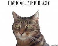 привет... мышка..))) 