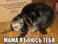  мама я боюсь тебя