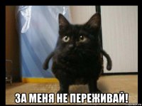  за меня не переживай!