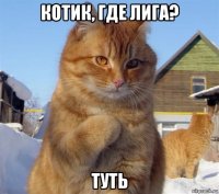 котик, где лига? туть