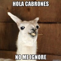 hola cabrones no me ignore