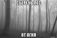 сберечь лес от огня