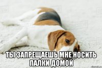  ты запрещаешь мне носить палки домой
