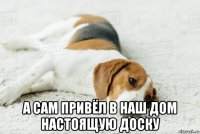  а сам привёл в наш дом настоящую доску