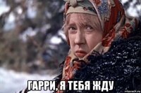  гарри, я тебя жду