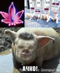  ачко!