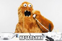  начальник