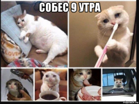собес 9 утра 