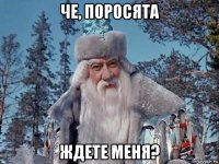 че, поросята ждете меня?