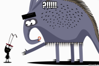 ?!!!!! 