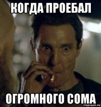 когда проебал огромного сома