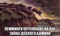  лемминги почуявшие на дне запах дохлого админа