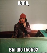 алло, вы шо ебобо?