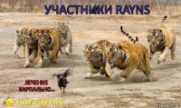 Лечение карпально... Участники RAYNS