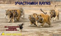 узи-ассистированное рассечение карпальной свя..... Участники RAYNS