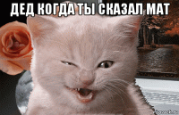 дед когда ты сказал мат 