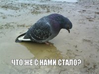 Что же с нами стало?